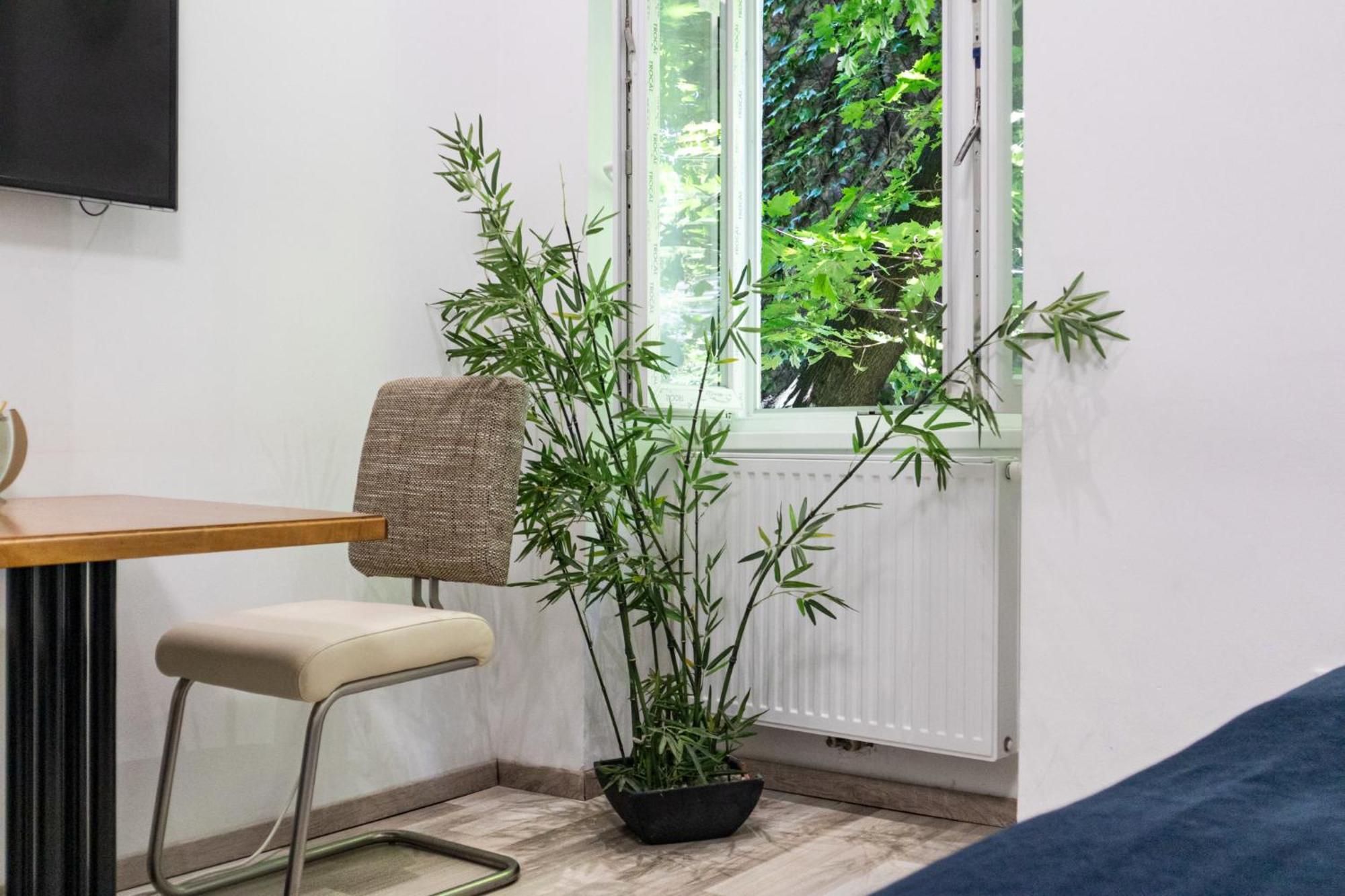 Chic 1br Near Biggest Amusementpark Of Apartment Wien